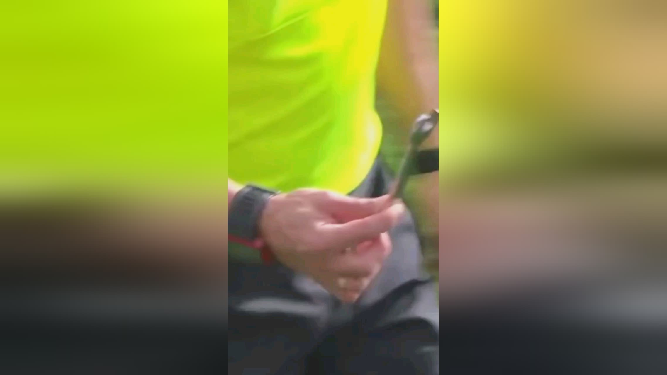 他的出色扑